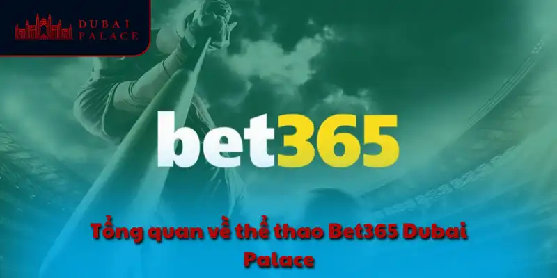 Tổng quan về thể thao Bet365 Dubai Palace