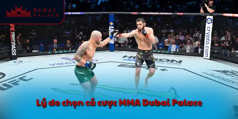 Lý do chọn cá cược MMA Dubai Palace