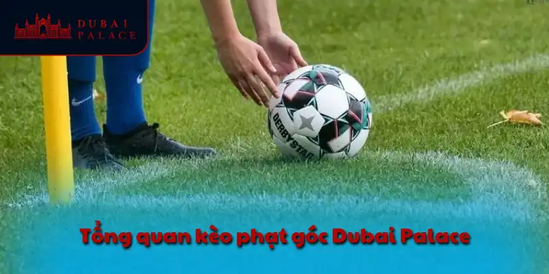 Tổng quan kèo phạt góc Dubai Palace