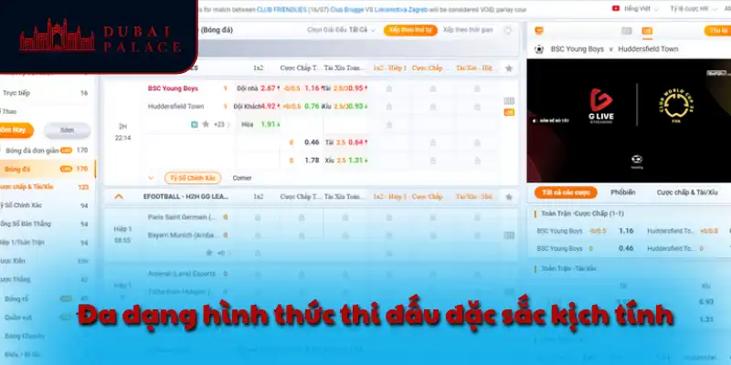 Đa dạng hình thức thi đấu đặc sắc kịch tính