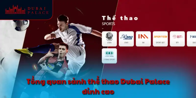 Tổng quan sảnh thể thao Dubai Palace đỉnh cao