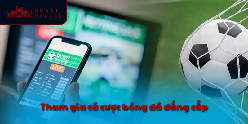 Tham gia cá cược bóng đá đẳng cấp
